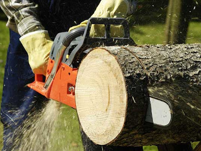 Stihl Sales in the Dakota County and Bloomington area